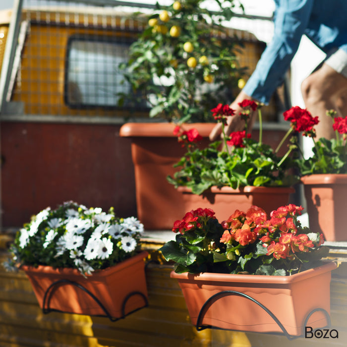 Jardinera Terra 10 L Plato Integrado