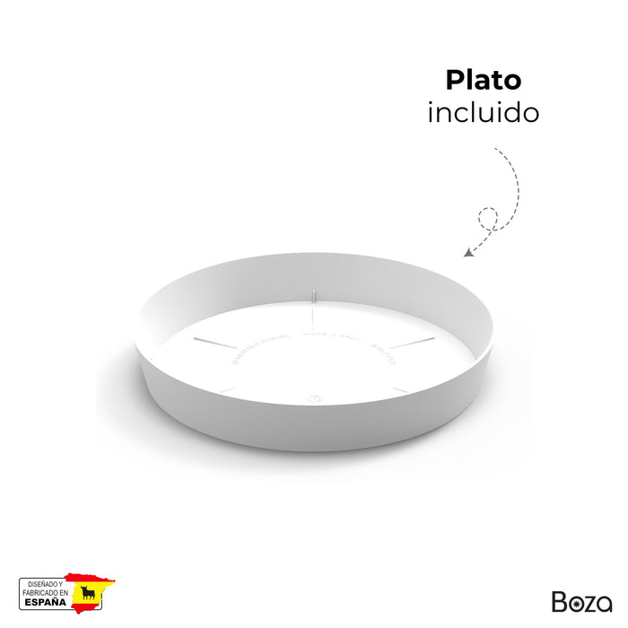 Maceta Cuenco 58 L Con Plato