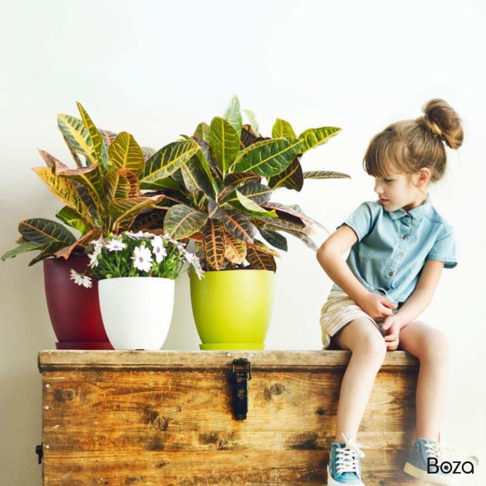 Maceta Cuenco 58 L Con Plato