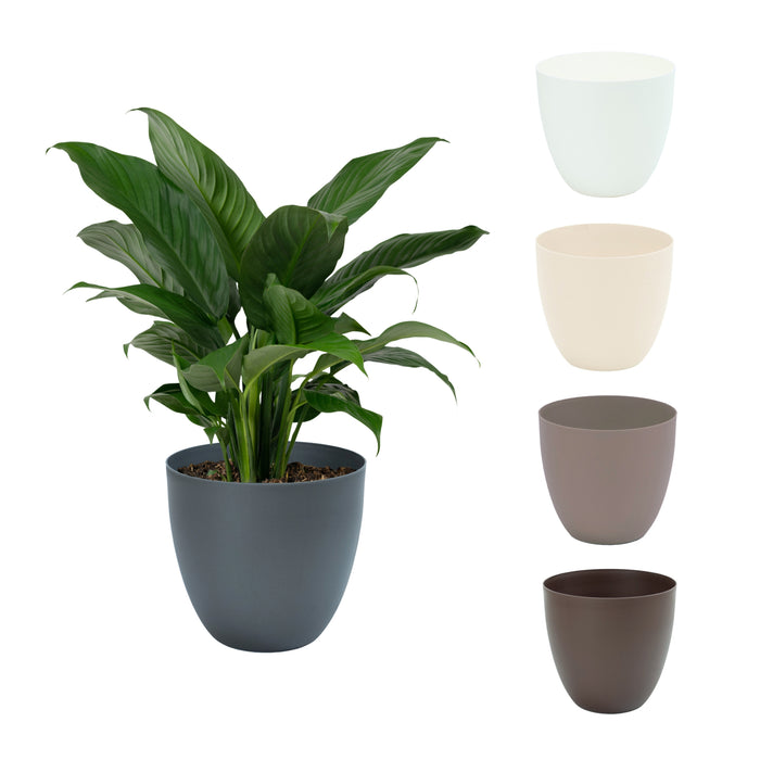 Maceta Cuenco 115 L Sin Plato