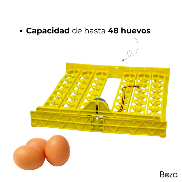 Incubadora 48 Huevos Ovoscopio Gratis Manual En Español Term