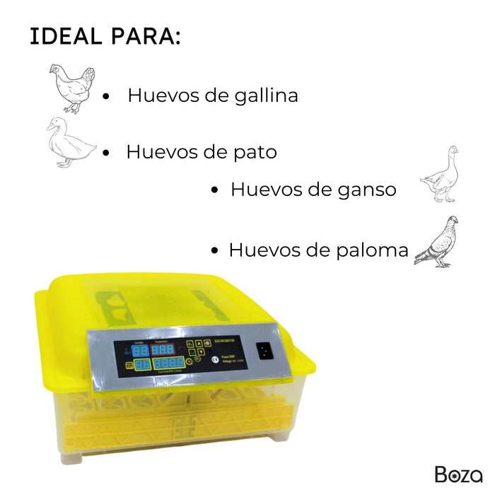 Incubadora 48 Huevos Ovoscopio Gratis Manual En Español Term