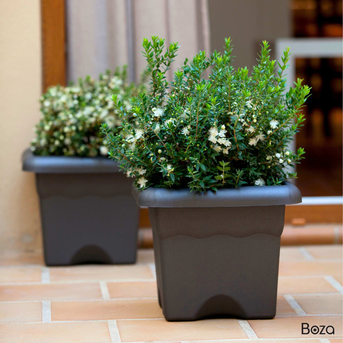 Maceta Terra 4 L Con Plato