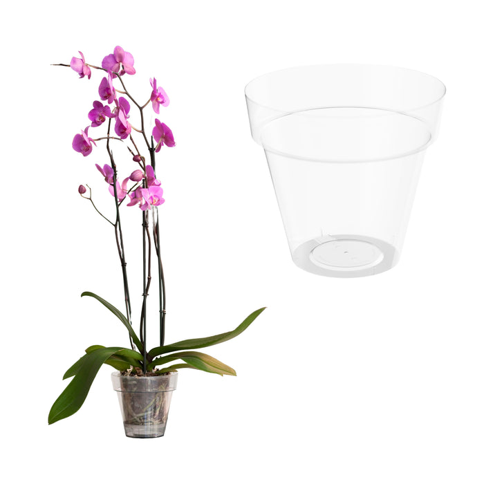 Maceta Tes 2.5 L Orquídea Sin Plato