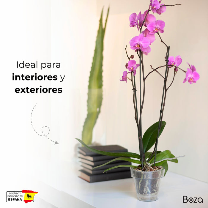 Maceta Tes 2.5 L Orquídea Sin Plato