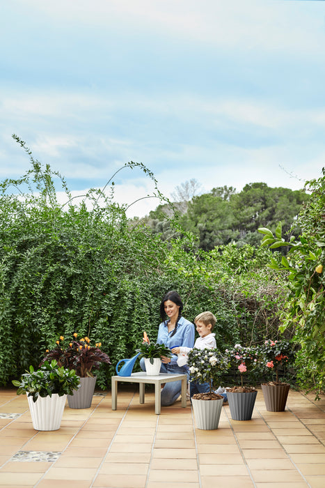 Maceta Doric 8 L Con Plato