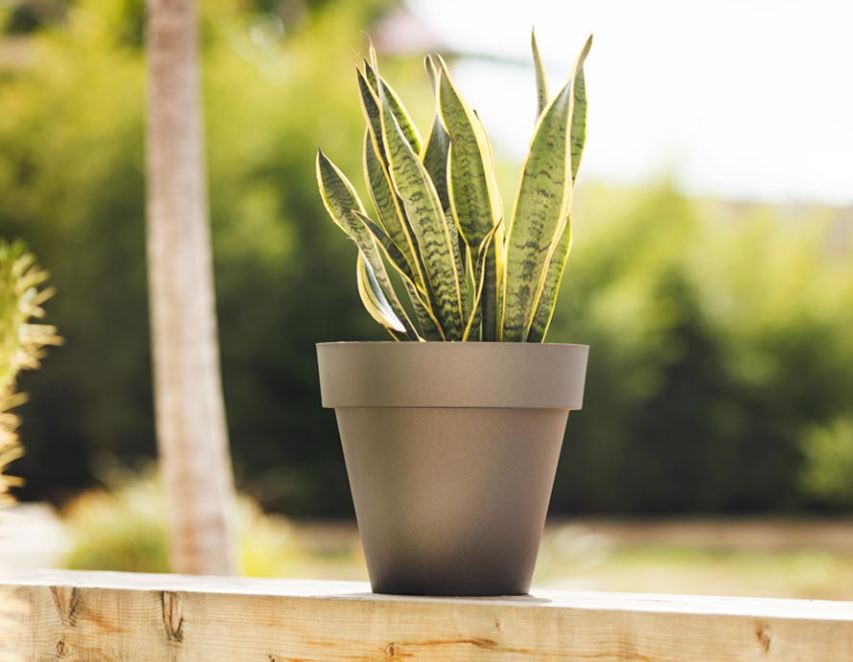 Maceta Tes 92 L Sin Plato