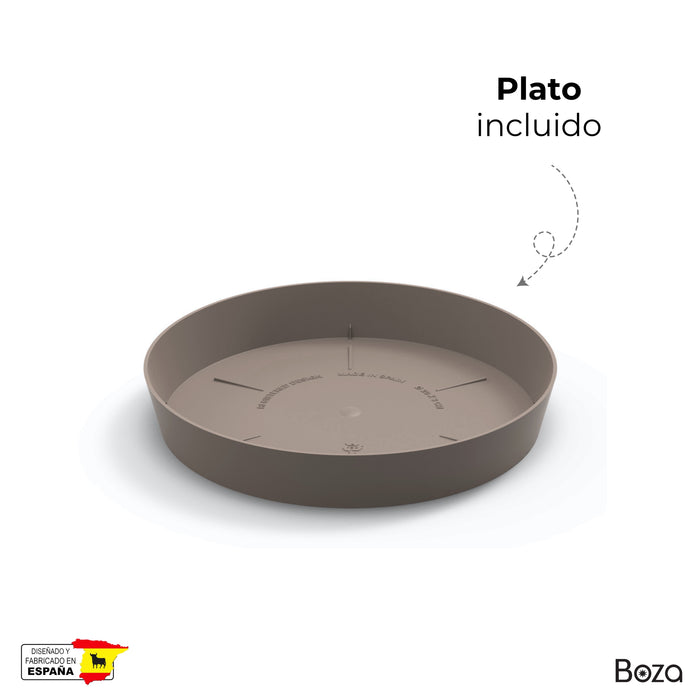 Maceta Cuenco 6 L Con Plato