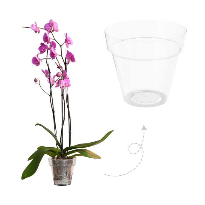 Maceta Tes 4.5 L Orquídea Sin Plato