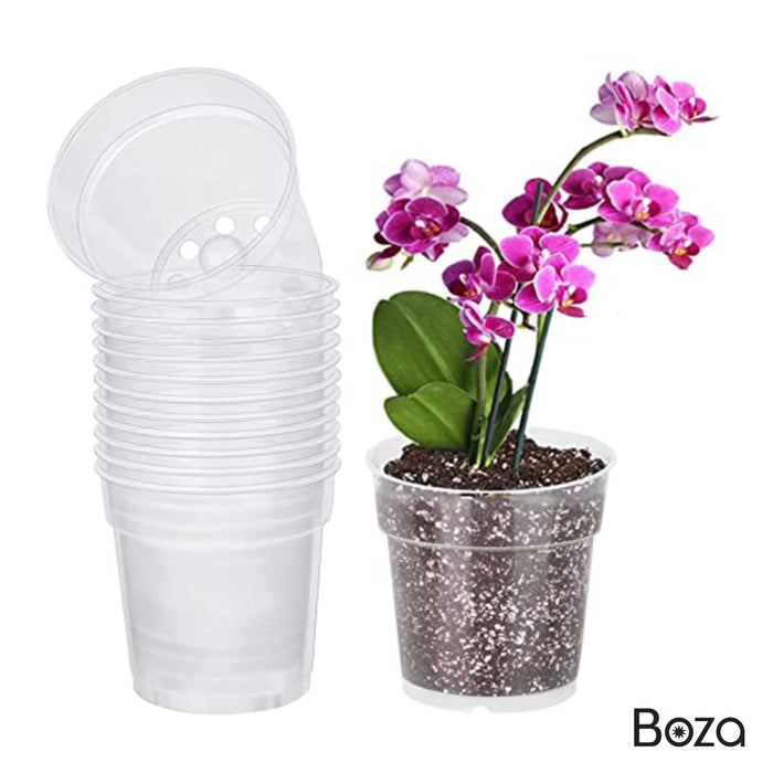 Maceta Luxe 1.6 L Orquídea Transparente