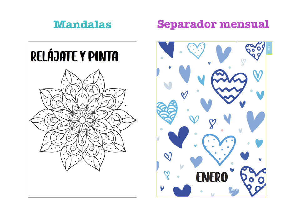 Agenda Boza Espiral 2023 Diseño Chic Diaria Pasta Dura